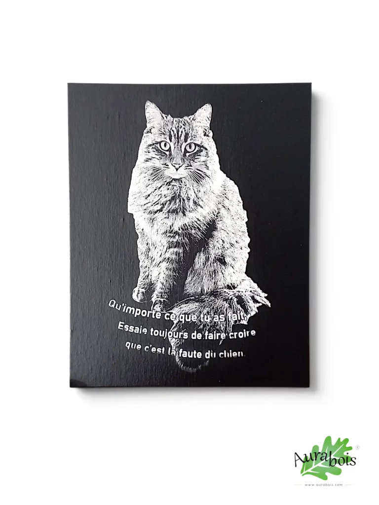 Toile personnalisée avec photo gravée au laser en noir et blanc
