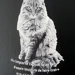 Peinture sur toile Chat Beerus (Texte personnalisable)