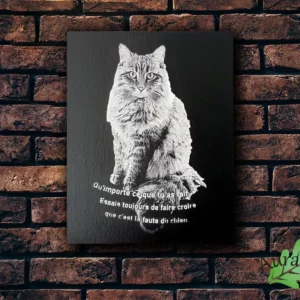 Peinture sur toile Chat Beerus (Texte personnalisable)